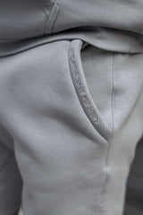 APOLLO JOGGERS - SLEET